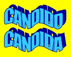 CANDIDO CANDIDA SIGNIFICATO DEL NOME E ONOMASTICO